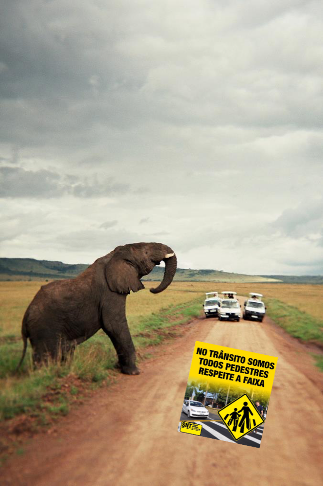 Foto de um elefante querendo atravessar a trilha da savana, e 3 carros parados aguardando. Ao centro, o cartaz diz: no trânsito somos todos pedestres