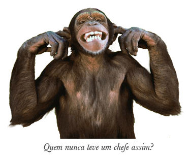 Foto de um chimpanzé com as mãos nos ouvidos, e a legenda: quem nunca teve um chefe assim?