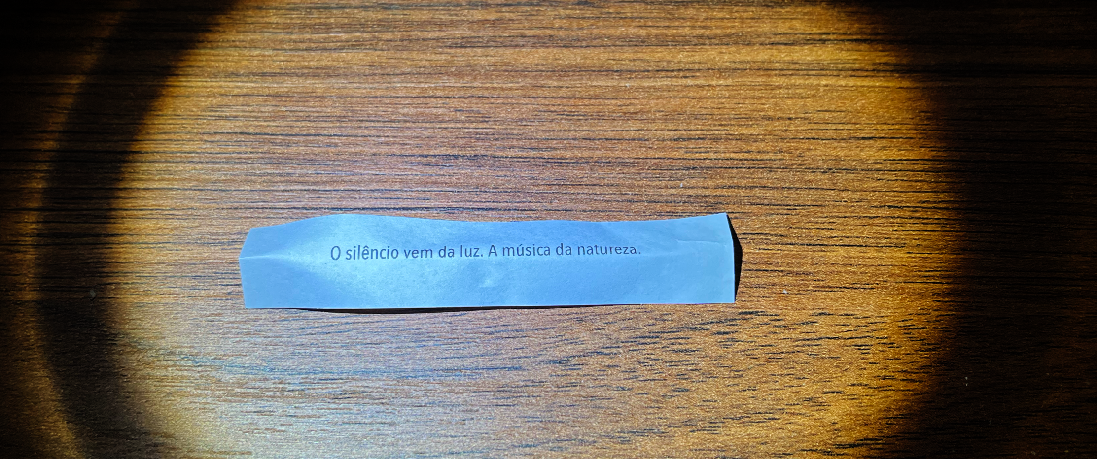 tira de papel com a frase impressa: “O silêncio vem da luz. A música da natureza“