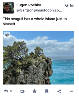 print de um post do Gargron com uma foto de ilha e o texto dizendo “esta gaivota tem uma ilha só pra ela“