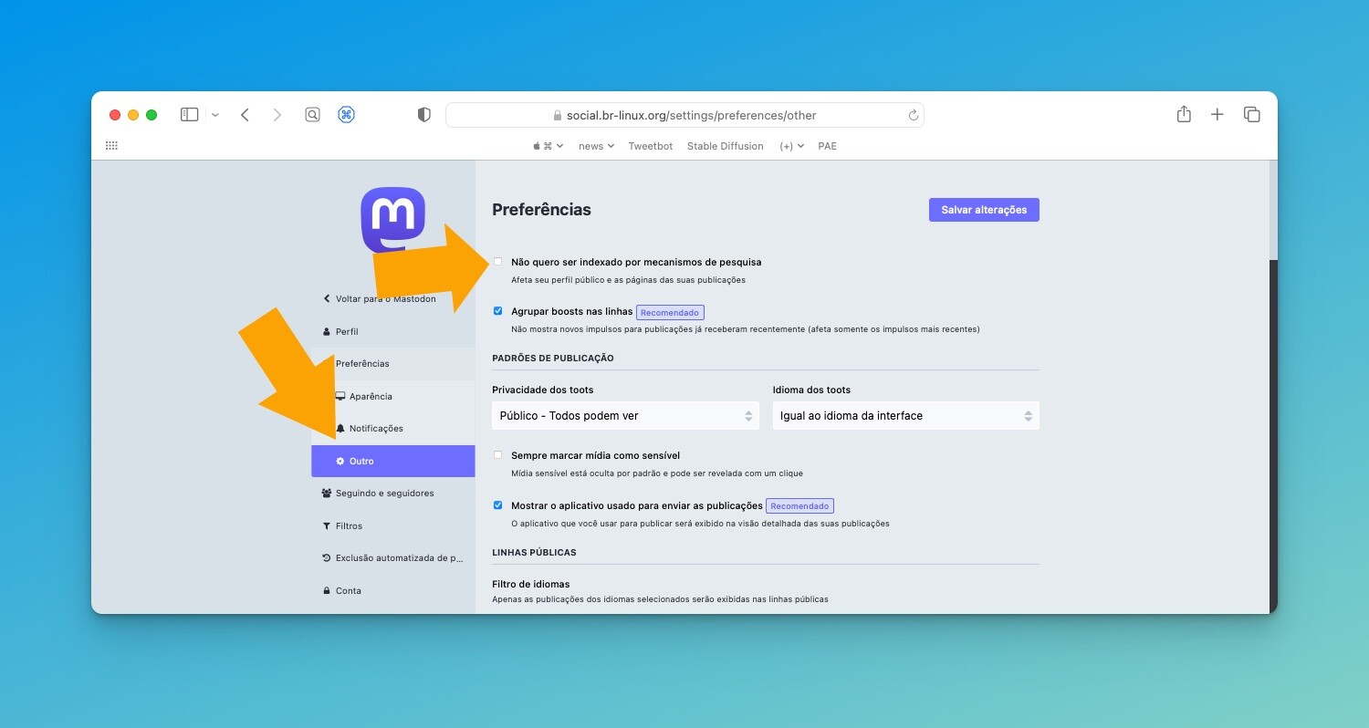 Guia visual para não ativar a opção NOINDEX