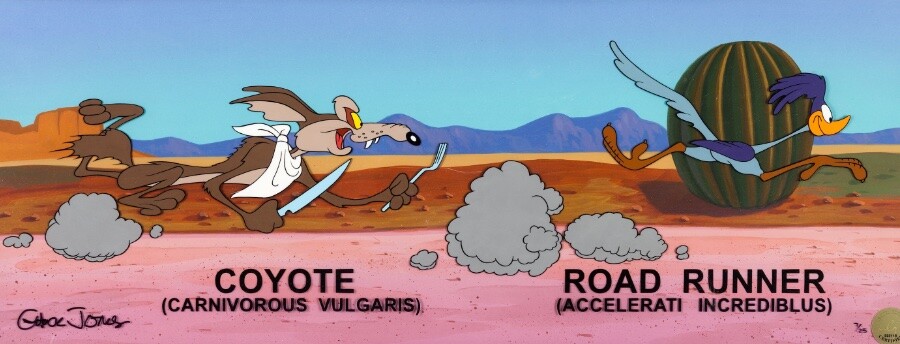 Wile E. Coyote e Road Runner “Fast & Furry-ous Incrediblus“. Edição limitada pintada à mão de Road Runner e Wile E. Coyote. Os gráficos sob Wile E. Coyote diziam “(Carnivorous Vulgaris)“ e sob o Road Runner, eles leem “(Accelerati Incrediblus)“. Estes foram usados em sua primeira aparição em 1949 a partir de seu curta de estreia Fast and Furry-ous. 