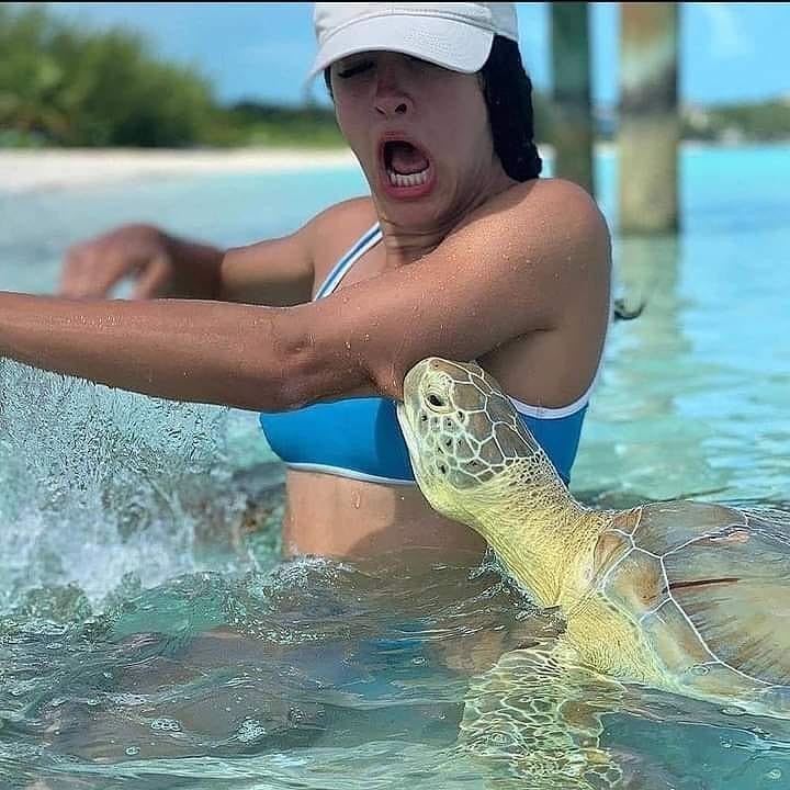 Tartaruga marinha morde o braço de uma turista que possivelmente descartou canudos de plástico antes de entrar no mar.