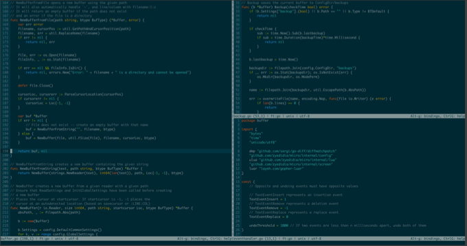 O editor de textos Micro rodando em um terminal.