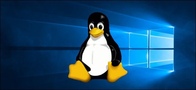 O pinguim mascote do Linux, iluminado pela janela que faz parte de um wallpaper oficial da Microsoft