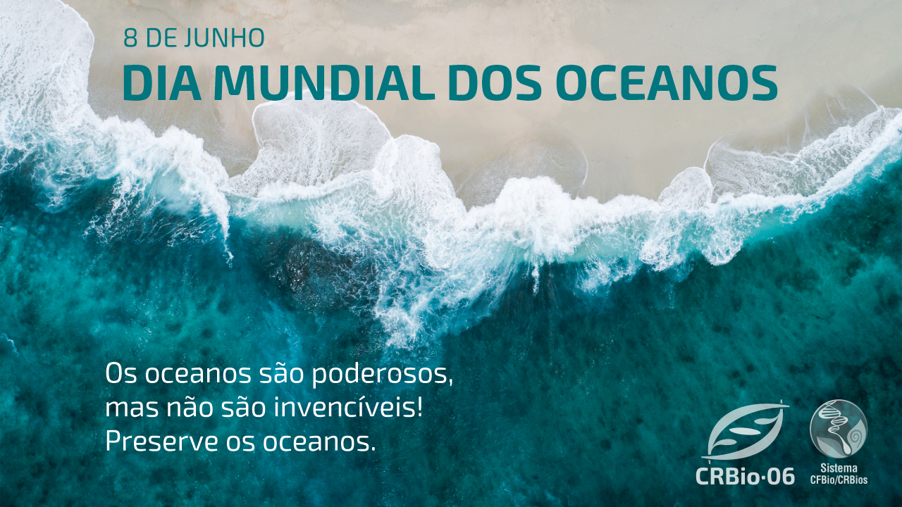 Foto aérea de uma praia com o texto:<br>8 DE JUNHO<br>DIA MUNDIAL DOS OCEANOS<br>Os oceanos são poderosos, mas não são invencíveis!<br>Preserve os oceanos.