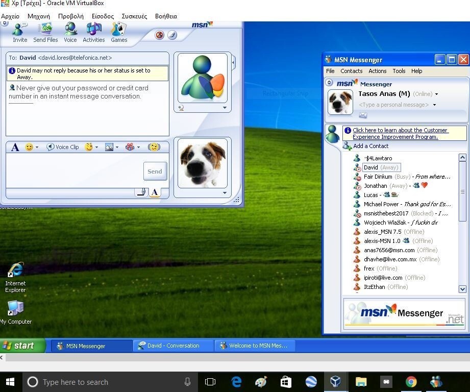 Print do MSN Messenger rodando no Windows XP
