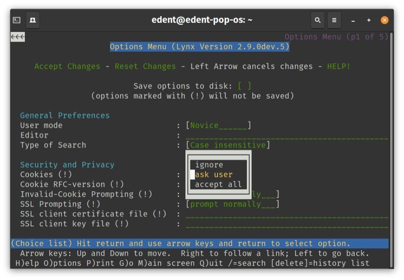 Tela do navegador lynx