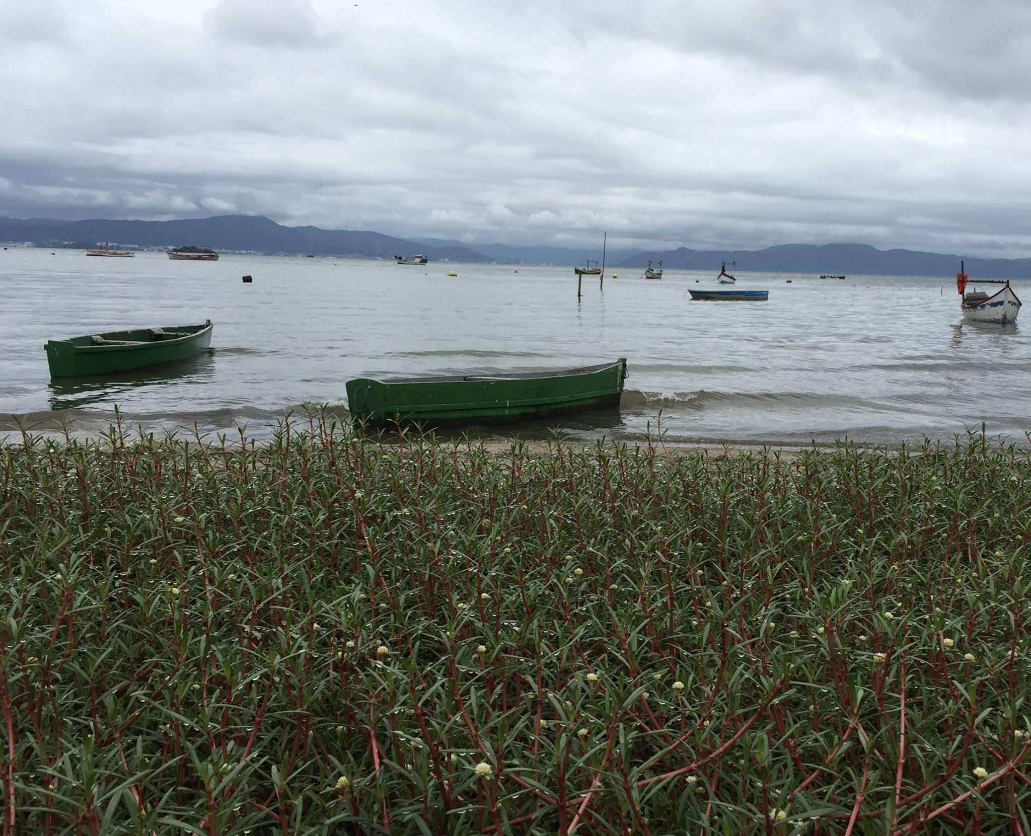 Vegetação praiana e a beira do mar, com dois pequenos botes (chamados localmente de bateiras) pintados de cor verde, em primeiro plano, e mais algumas embarcações pesqueiras de pequeno porte fundeadas nas proximidades, com nuvens cinzas no céu.