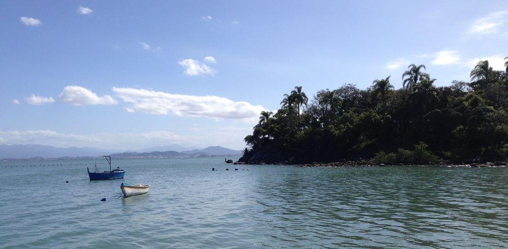 Visão do mar calmo na Baía Norte de Florianópolis, com um trecho de vegetação nativa preservada ao fundo, e duas pequenas embarcações pesqueiras fundeadas.