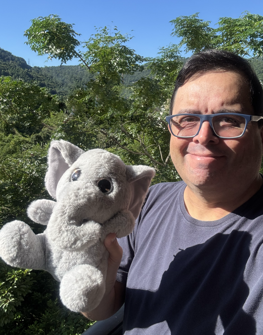Foto minha, de camisa azul, segurando uma pelúcia de elefante em cor cinza, em cena ensolarada e tendo a mata ao fundo.